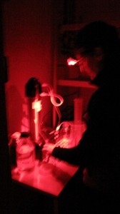 Red-light research in the lab